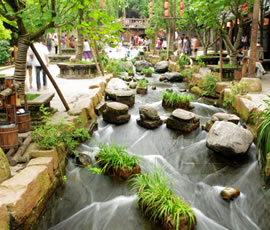 千年水碼頭、古鎮(zhèn)黃龍溪一日游