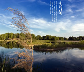 新義水鄉(xiāng)中醫(yī)藥浴康養(yǎng)、黃龍溪古鎮(zhèn)二日游