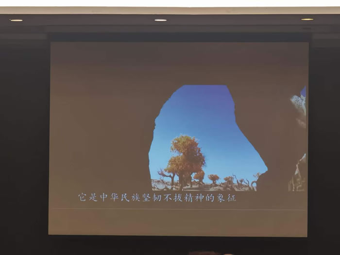 綿陽中旅行假日旅行社舉行胡楊林、南疆專列推薦會(huì)